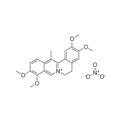 Dehydrocorydaline nitrate 化学结构 CAS号：13005-09-9