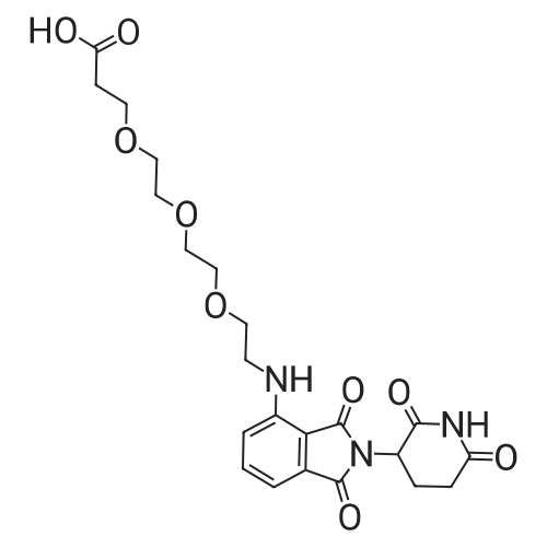 Thalidomide-NH-PEG3-propionic acid 化学结构 CAS号：2138440-82-9