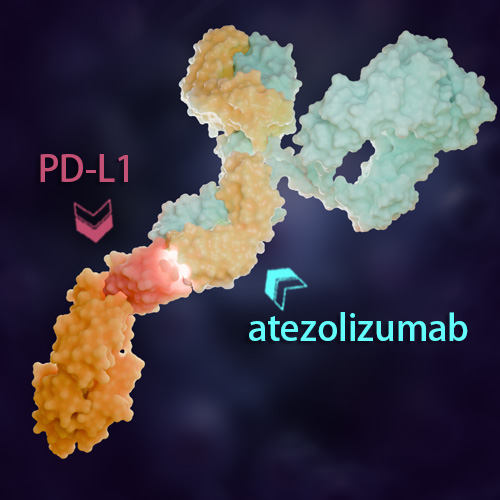 Atezolizumab 化学结构 CAS号：1380723-44-3