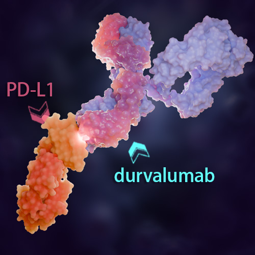 Durvalumab 化学结构 CAS号：1428935-60-7