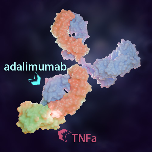 Adalimumab 化学结构 CAS号：331731-18-1