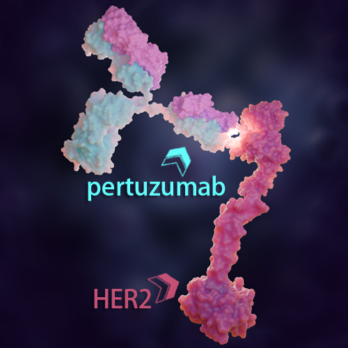 Pertuzumab 化学结构 CAS号：380610-27-5