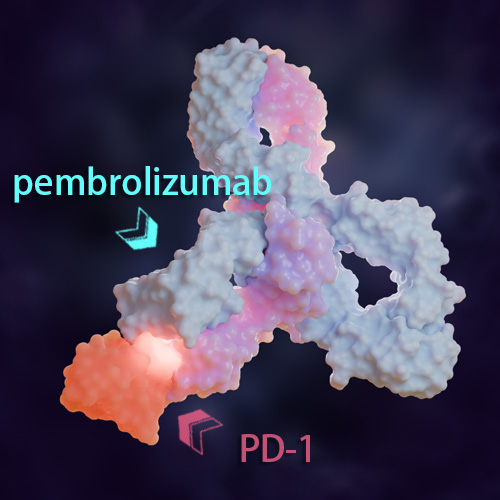 Pembrolizumab 化学结构 CAS号：1374853-91-4