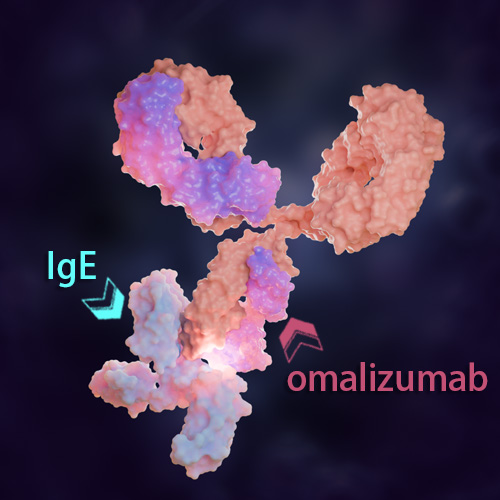 Omalizumab 化学结构 CAS号：242138-07-4