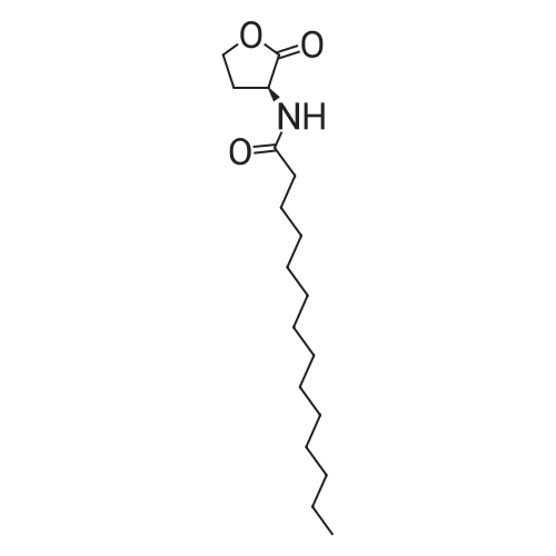 N-Tetradecanoyl-L-homoserine lactone 化学结构 CAS号：202284-87-5