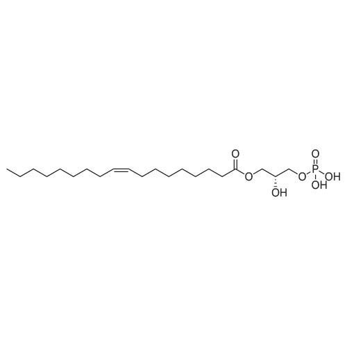 1-Oleoyl lysophosphatidic acid 化学结构 CAS号：65528-98-5