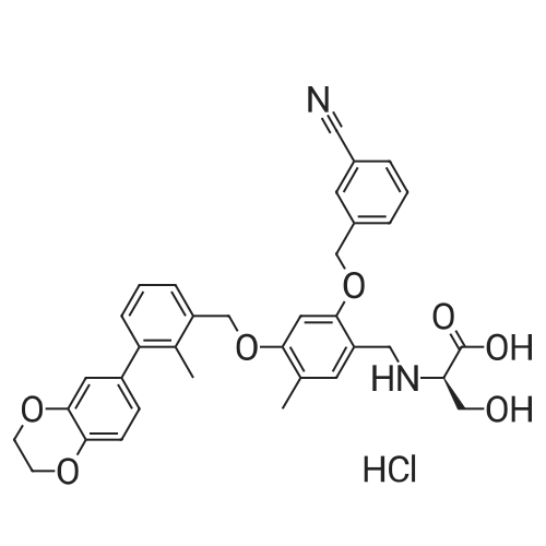 BMS-1001 HCl 化学结构 CAS号：2113650-04-5