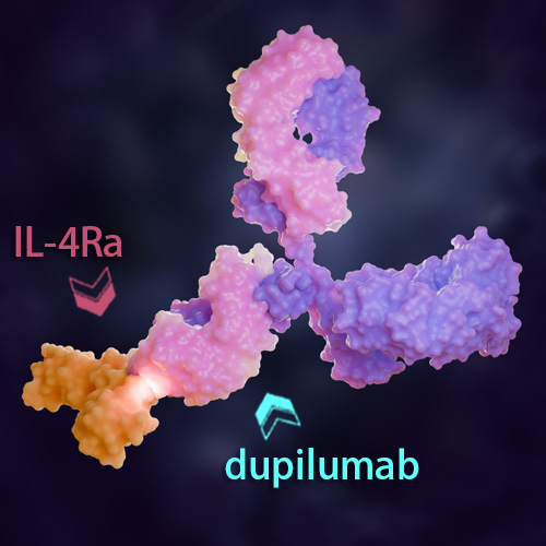 Dupilumab 化学结构 CAS号：1190264-60-8