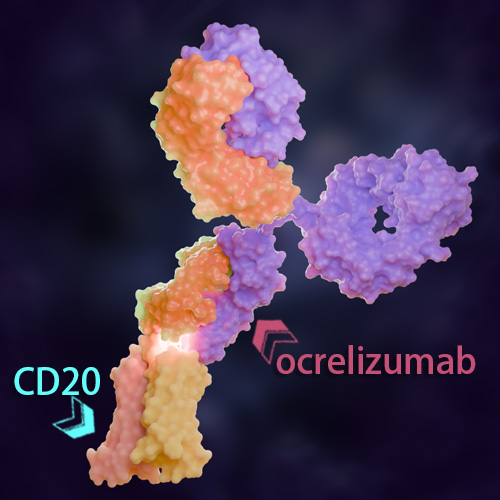 Ocrelizumab 化学结构 CAS号：637334-45-3