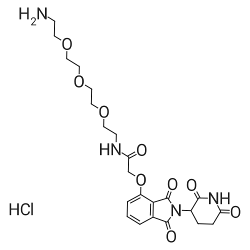 Thalidomide-O-amido-PEG3-C2-NH2 HCl 化学结构 CAS号：2245697-84-9