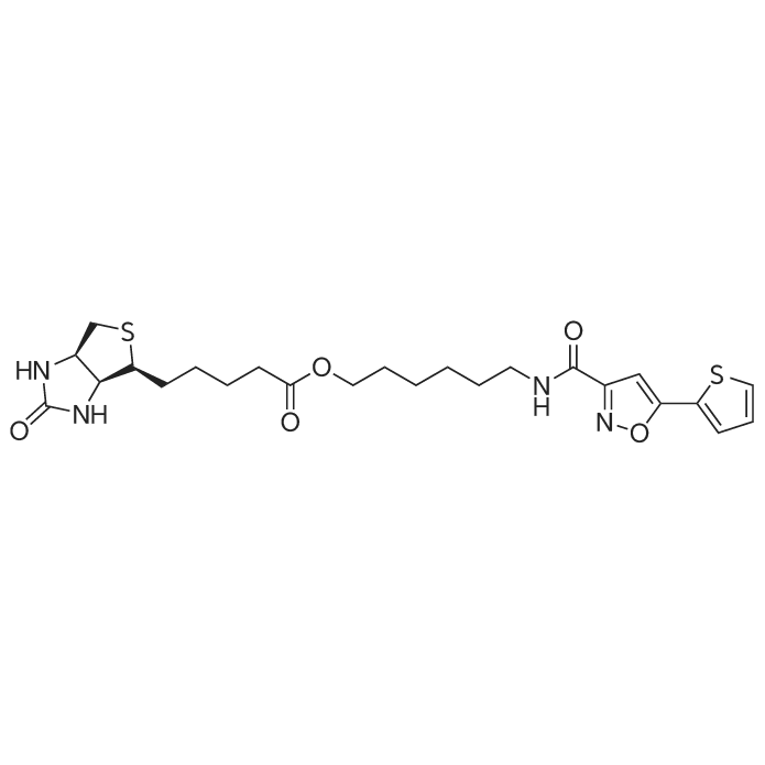 Biotinylated isoxazole 化学结构 CAS号：1377605-22-5