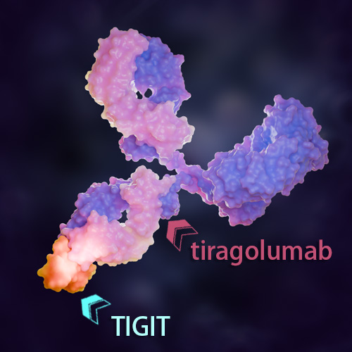 Tiragolumab 化学结构 CAS号：1918185-84-8