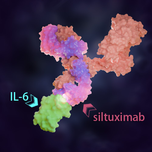 Siltuximab 化学结构 CAS号：541502-14-1