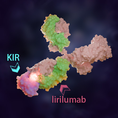 Lirilumab 化学结构 CAS号：1000676-41-4