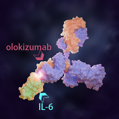 Olokizumab 化学结构 CAS号：1007223-17-7