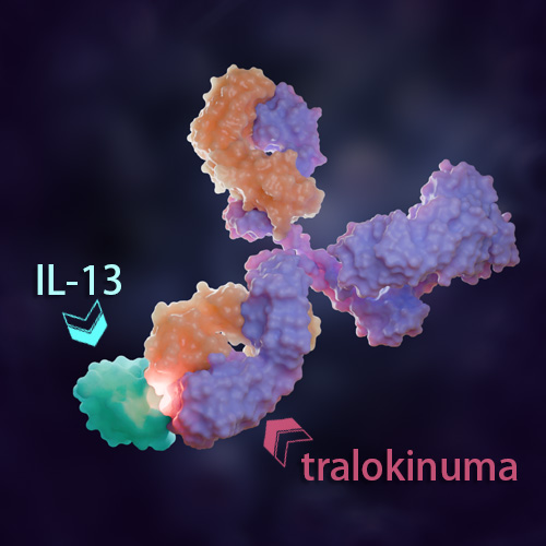 Tralokinumab 化学结构 CAS号：1044515-88-9