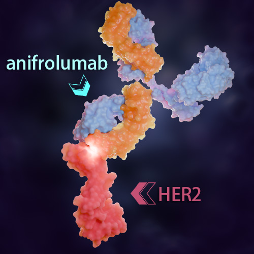 Anifrolumab 化学结构 CAS号：1326232-46-5