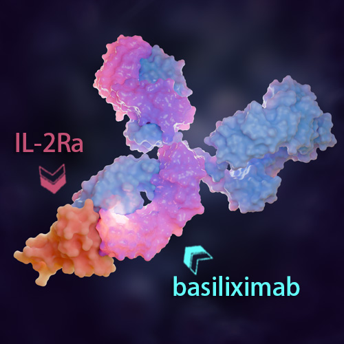 Basiliximab 化学结构 CAS号：179045-86-4