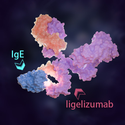 Ligelizumab 化学结构 CAS号：1322627-61-1