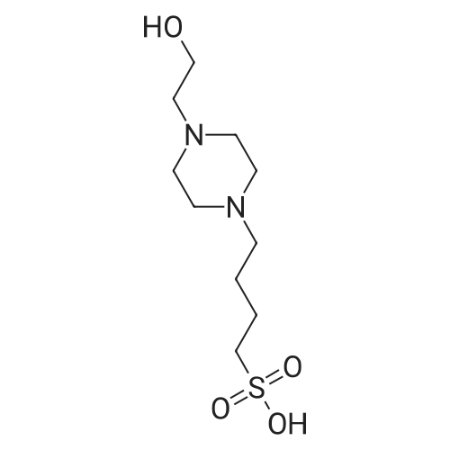 HEPBS 化学结构 CAS号：161308-36-7