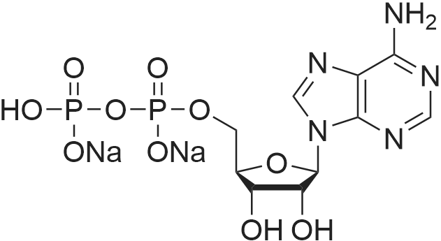 Adenosine 5'-Diphosphate Disodium Salt 化学结构 CAS号：16178-48-6