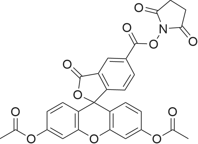 5-Carboxyfluorescein diacetate N-succinimidyl ester 化学结构 CAS号：150206-05-6
