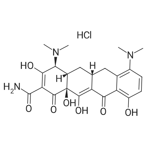 Minocycline HCl 化学结构 CAS号：13614-98-7