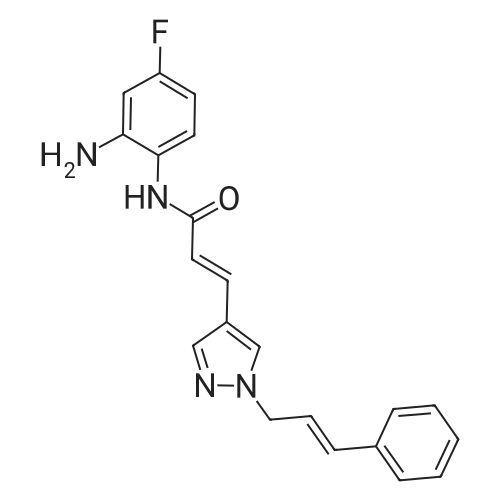 (E,E)-RGFP966 化学结构 CAS号：1396841-57-8