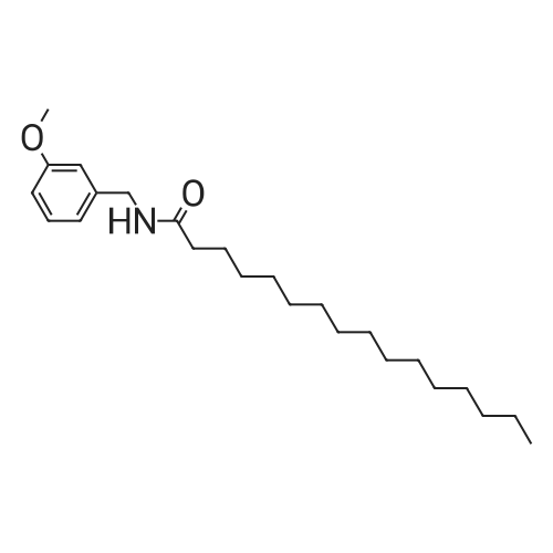 N-(3-Methoxybenzyl)Palmitamide 化学结构 CAS号：847361-96-0