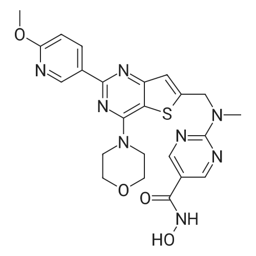 Fimepinostat 化学结构 CAS号：1339928-25-4