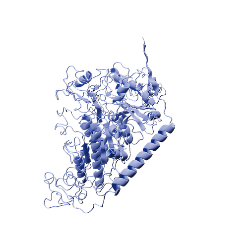 Enpp3 Cynomolgus ENPP3 (N-6His, HEK293)|Recombinant Cynomolgus ENPP3 (N-6His ...