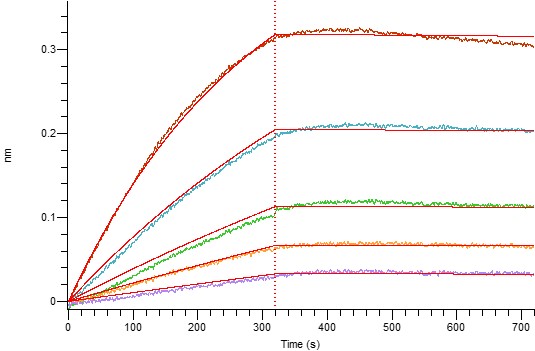 Mouse APRIL (N-Fc, HEK293)|Recombinant Mouse APRIL (N-Fc, HEK293); A ...