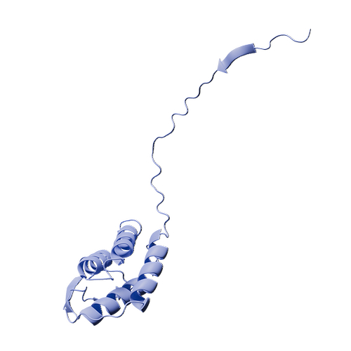 Mouse GM-CSF|Recombinant Mouse GM-CSF; Granulocyte-macrophage colony ...