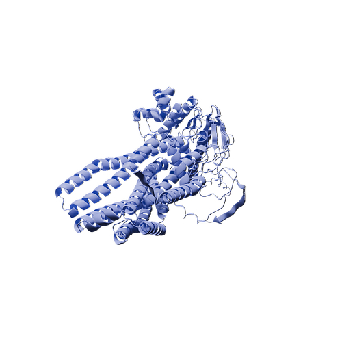 Human Ab Cd R Human ABCD1(C-10His,E.coli Cell-free)|ATP-binding cassette sub-family D ...
